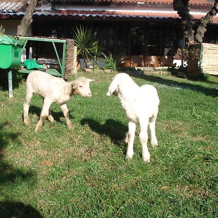 Вілла Agriturismo La Vecchia Дольчеаккуа Екстер'єр фото